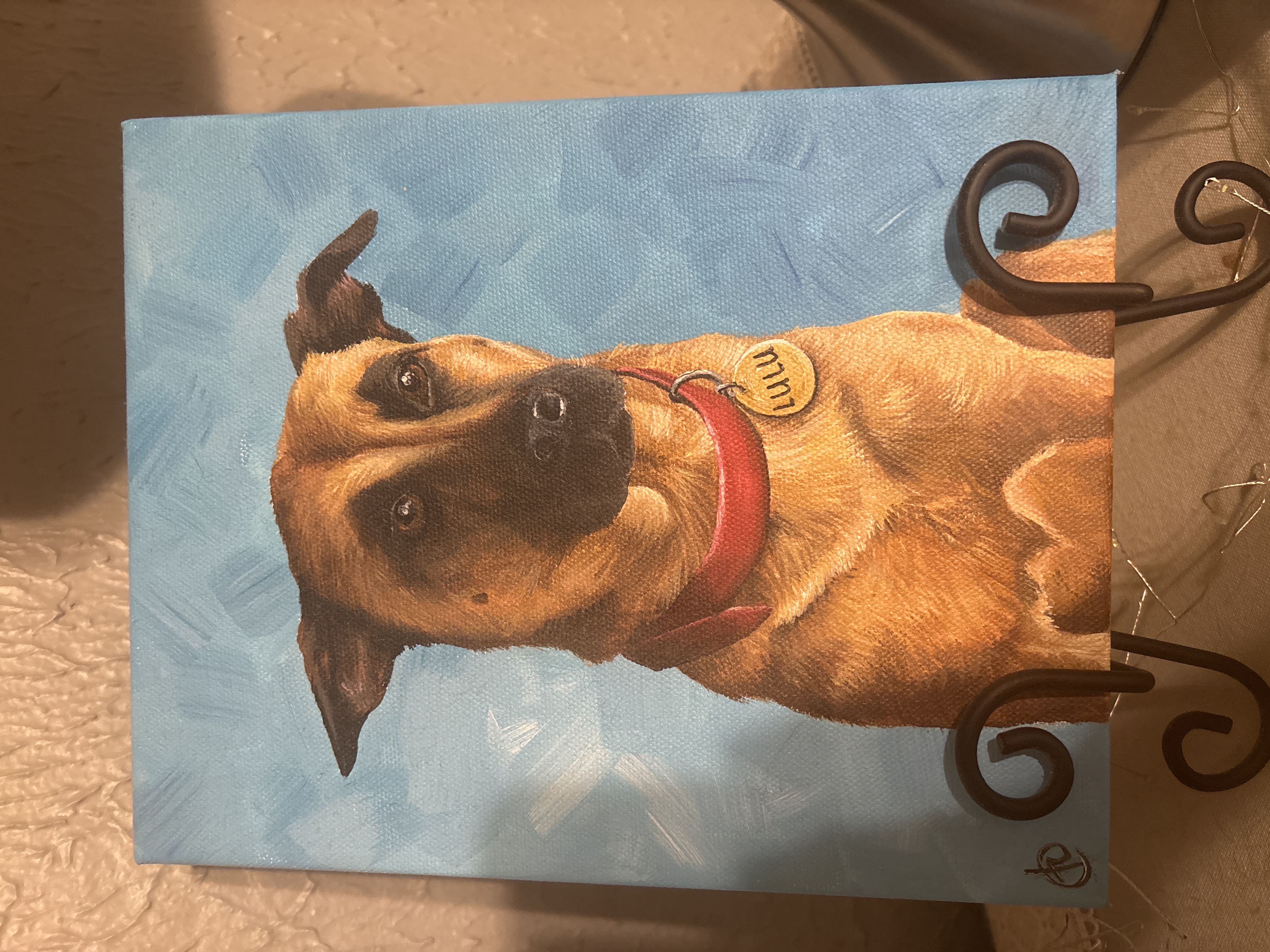 Tallulah Bella (Lulu) — photo 5