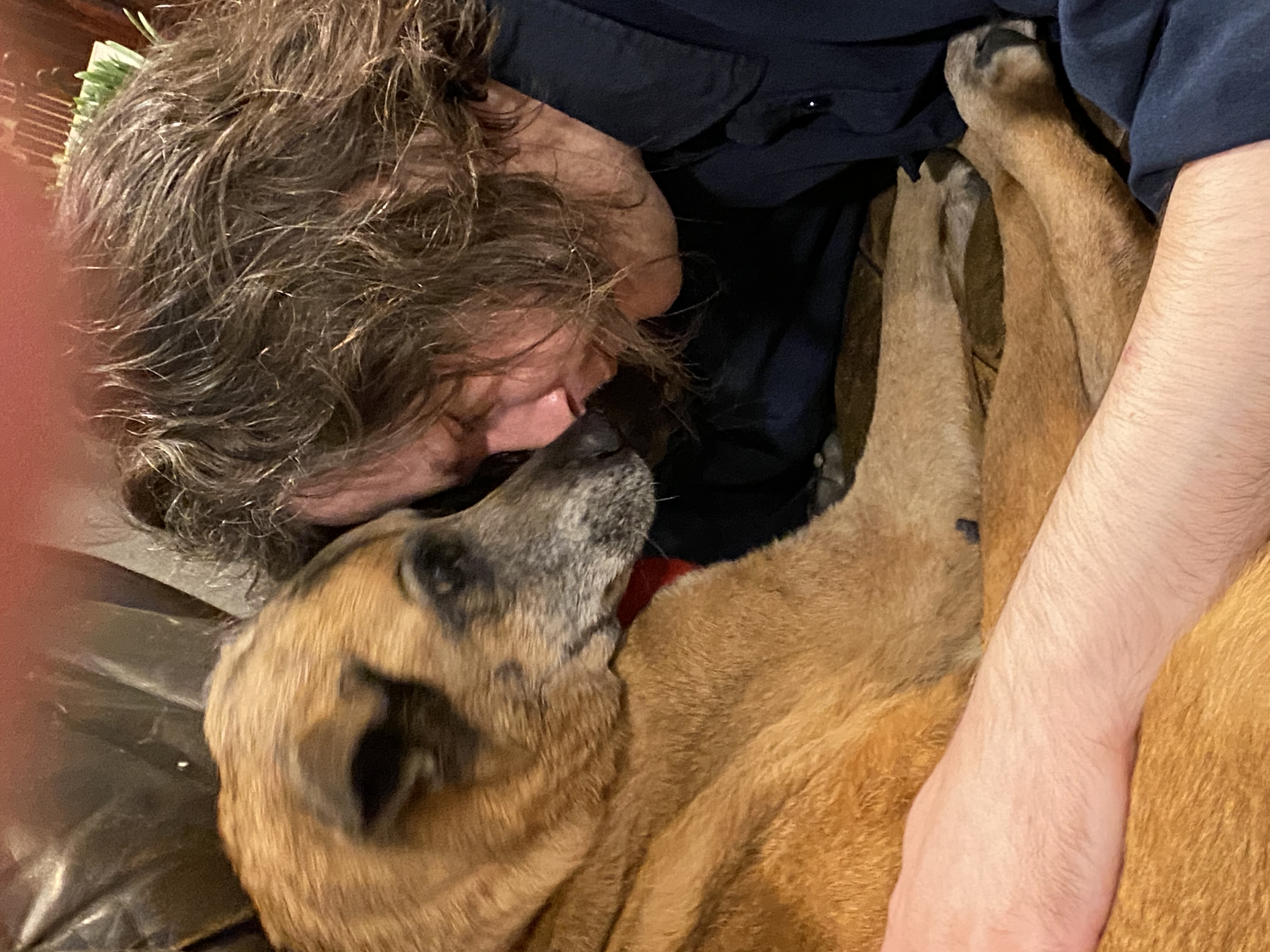 Tallulah Bella (Lulu) — photo 8