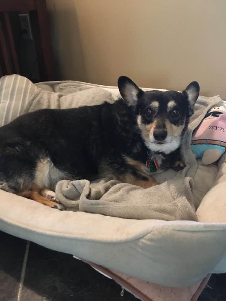 Lottie Lou — photo 2