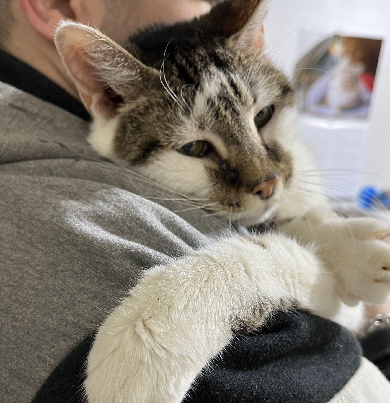 Princess — photo 3