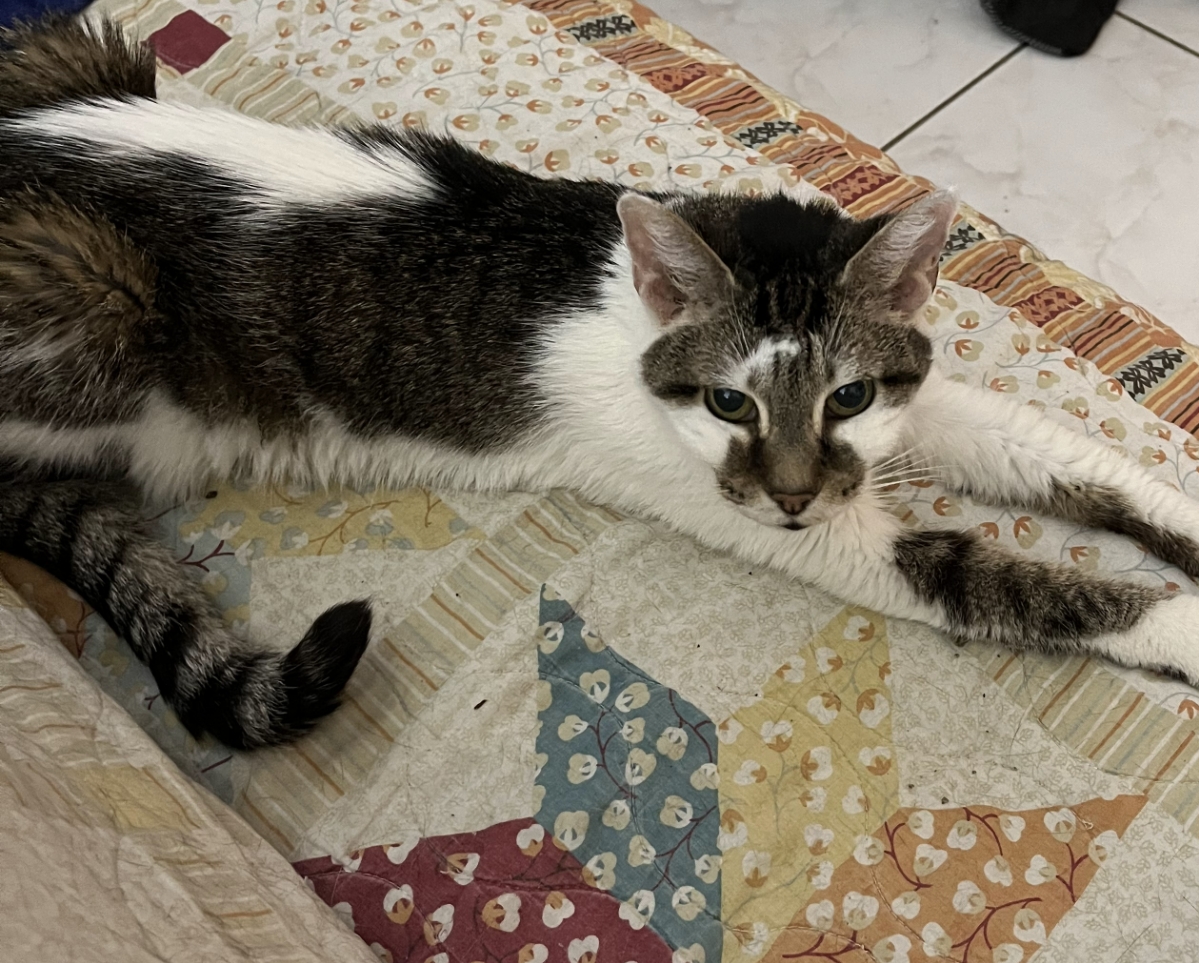 Princess — photo 4