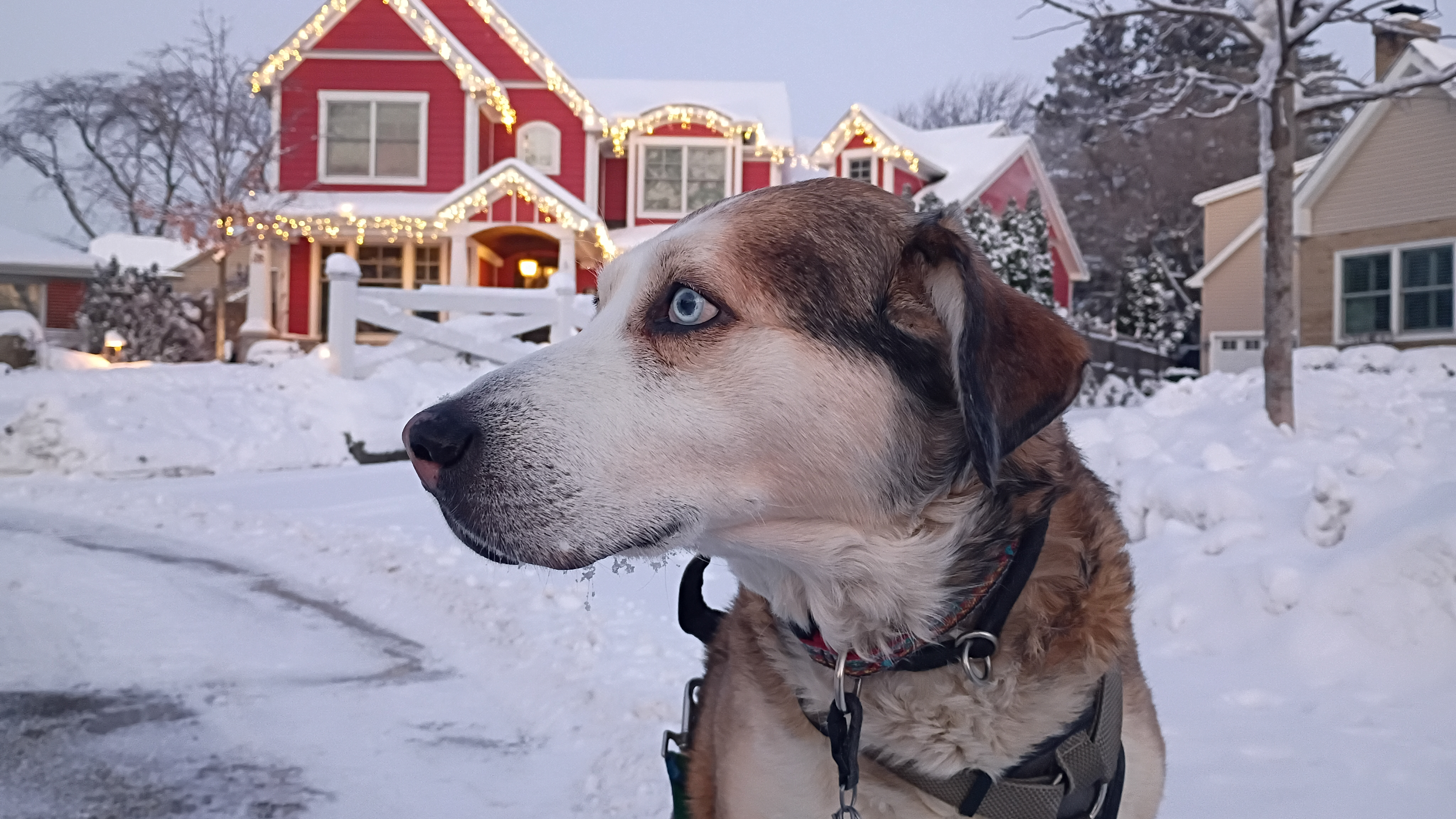 Copper — photo 3