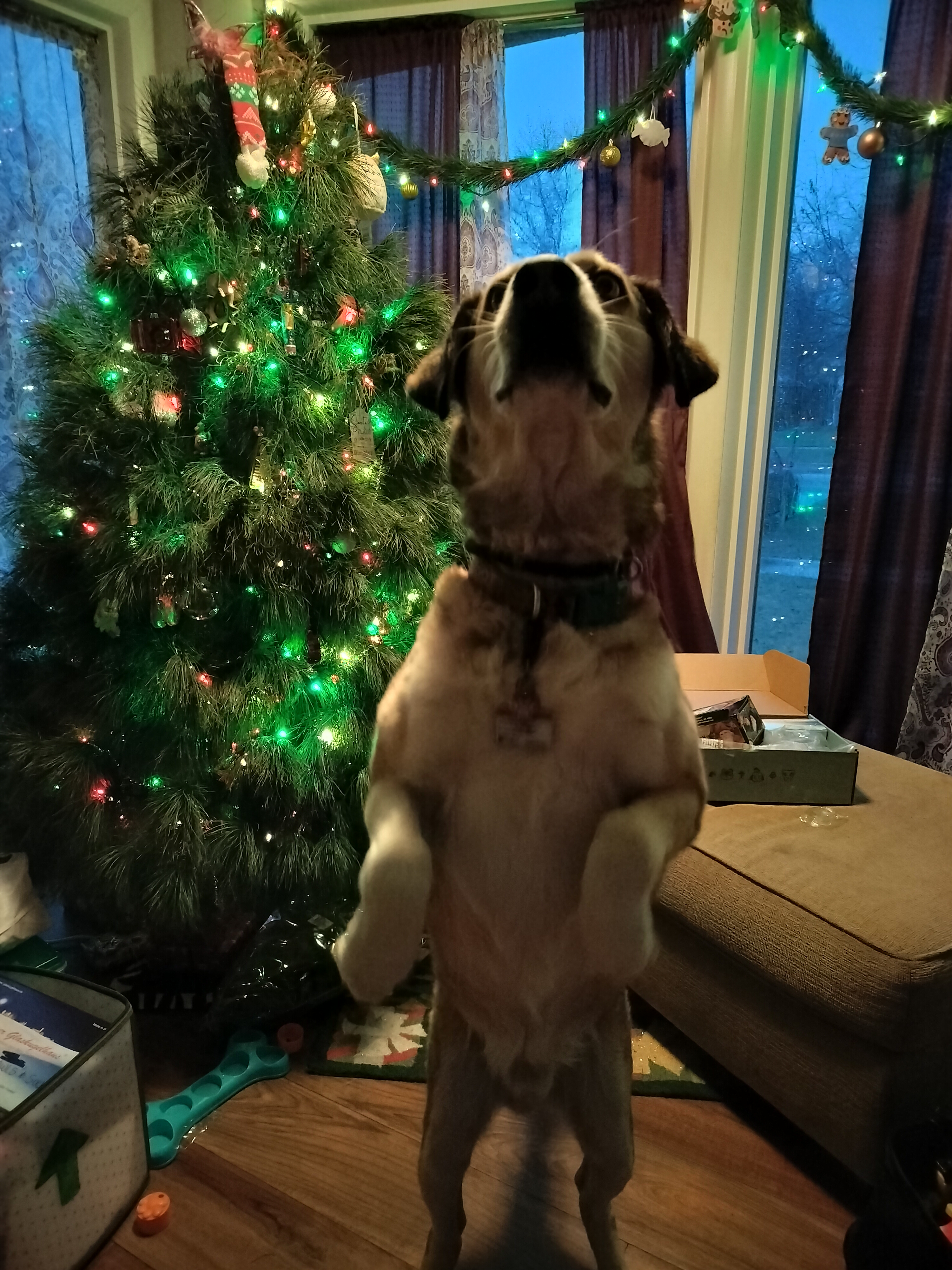 Copper — photo 6