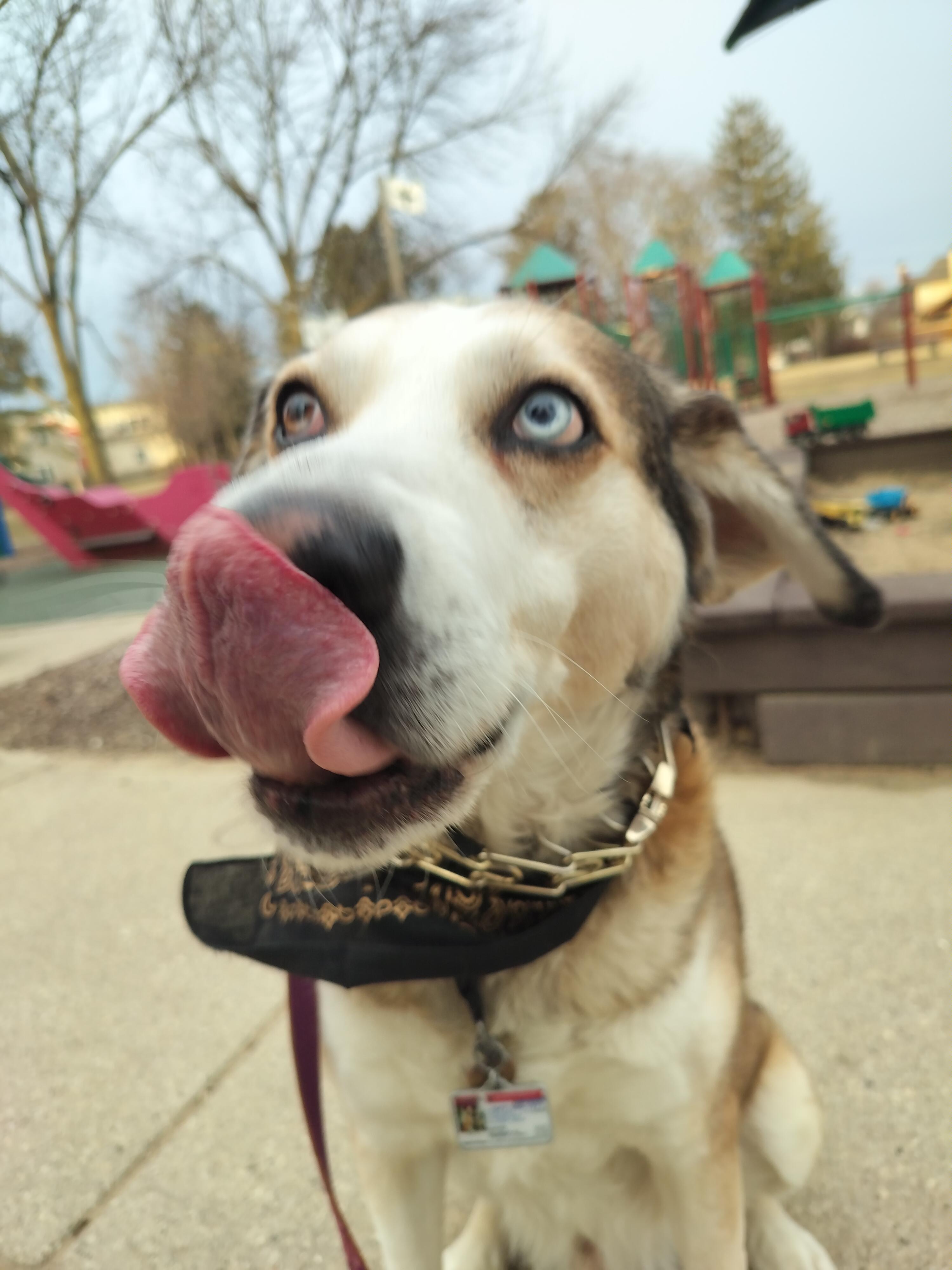 Copper — photo 8